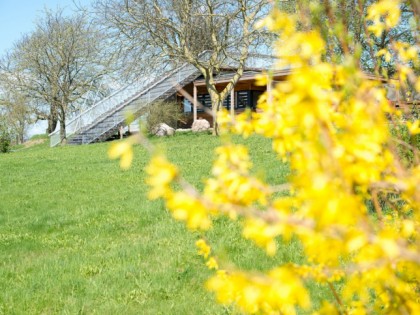 照片: Seeblick Lassahn